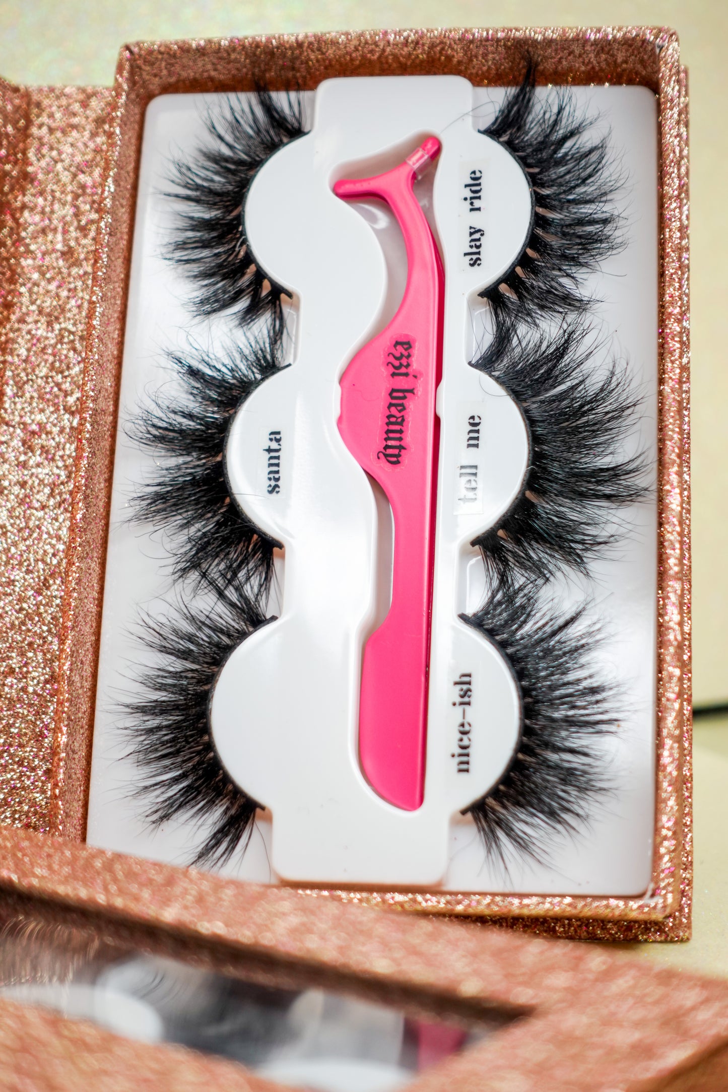 Holiday Lash Book